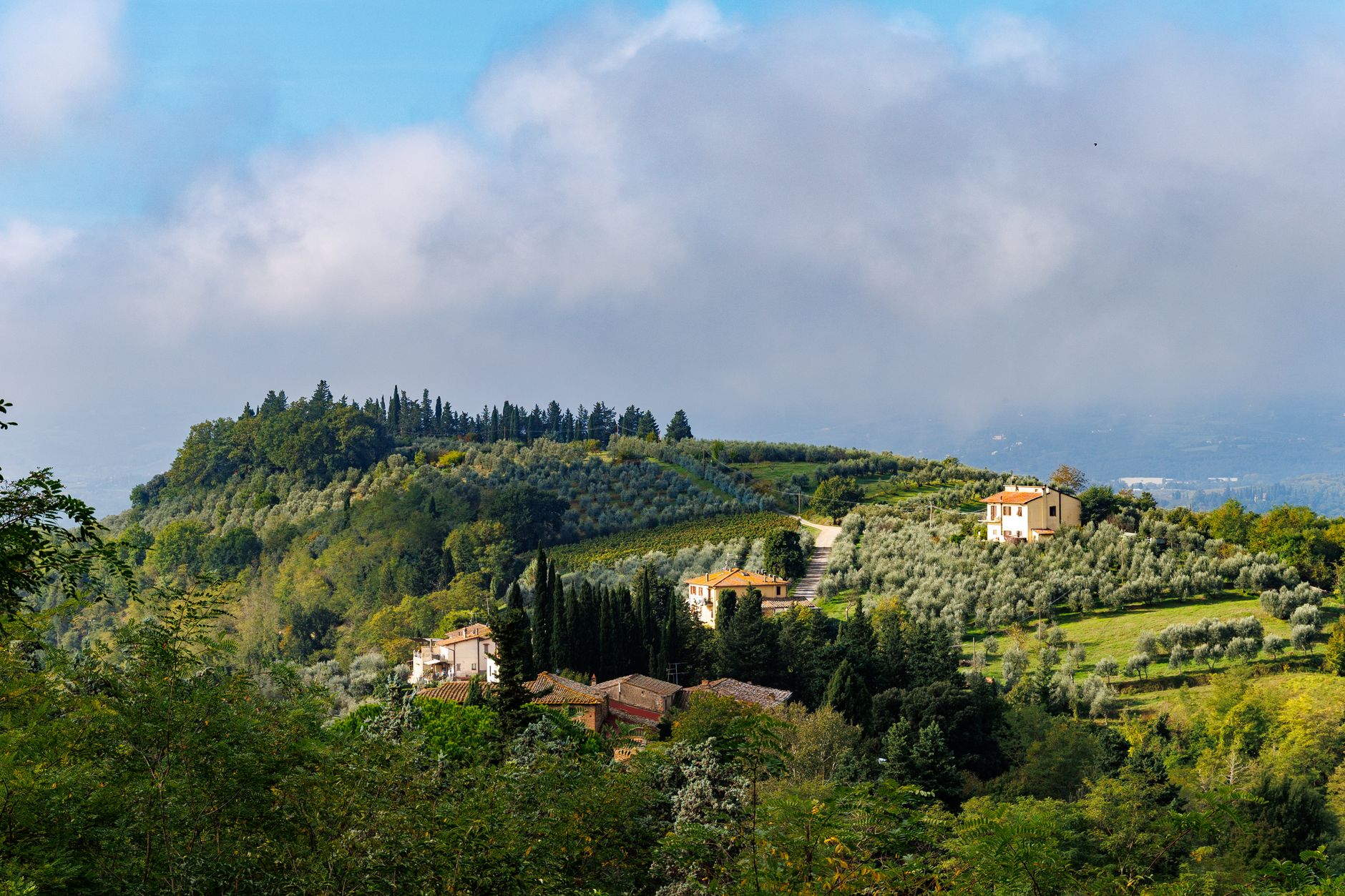 Tuscan stone farmhouse overlooking rolling hills of olive trees